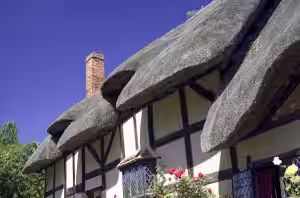 Thatched Property Insurance