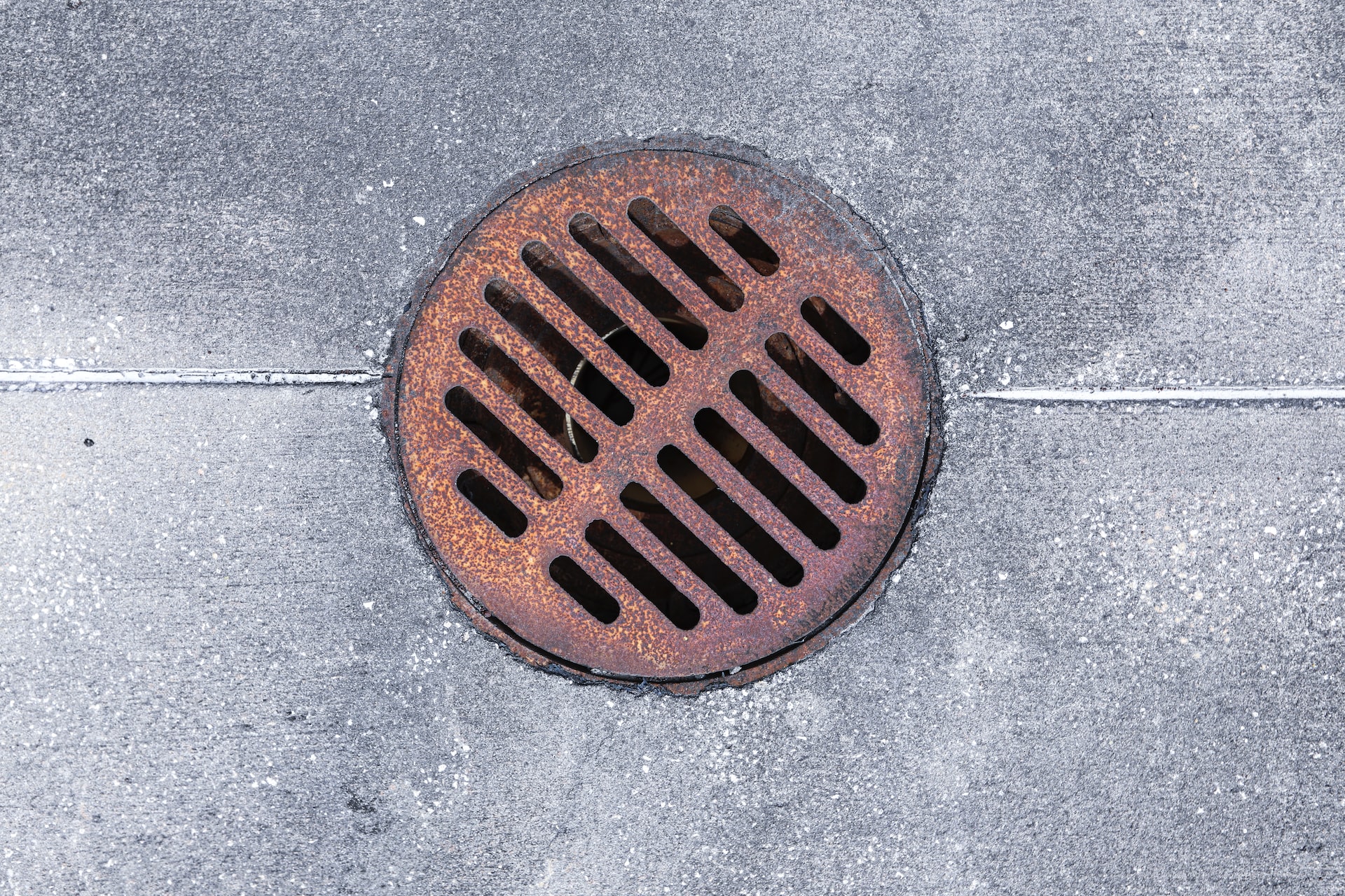 drain cover