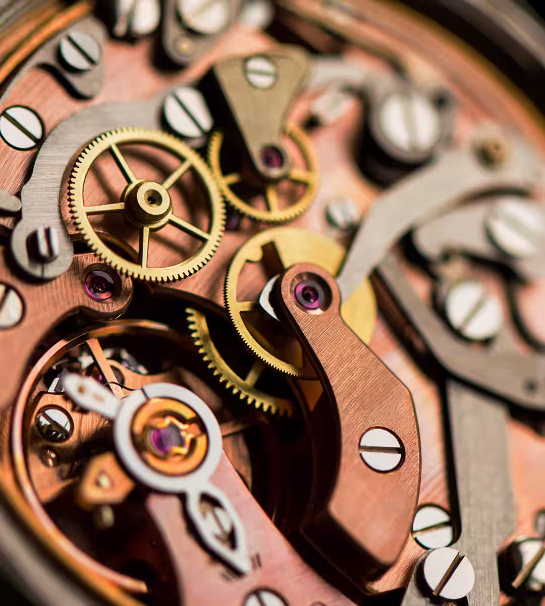 Luxury Watch