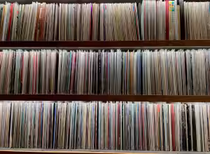 Vinyl Insurance